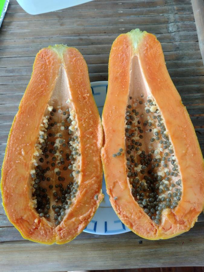 Happy Coconut Camiguin 호텔 맘바자오 외부 사진